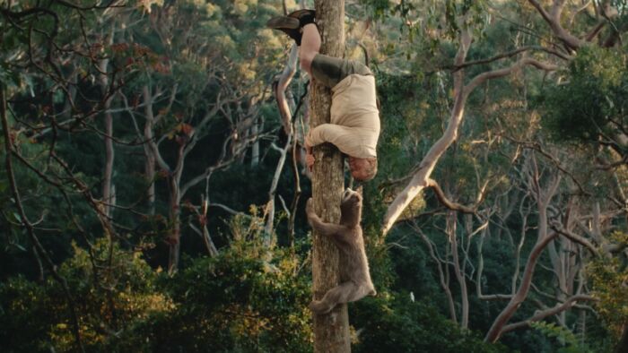 Screen Shot 2023 01 25 at 15 49 35