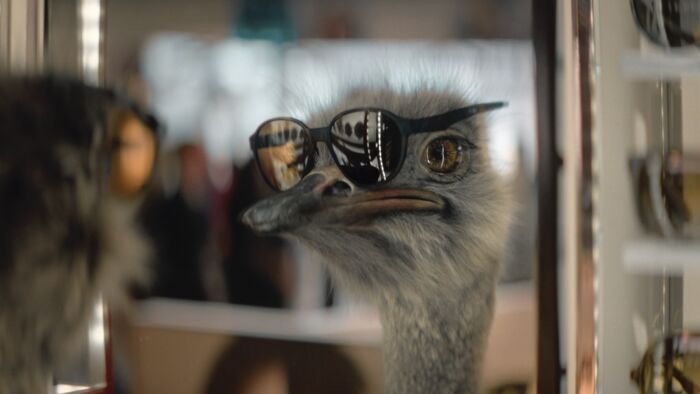 Screen Shot 2023 05 09 at 13 13 18