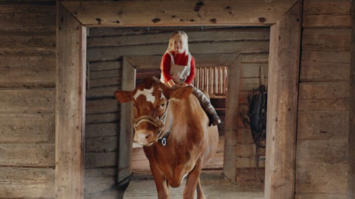 No letterbox synnove finden pravda