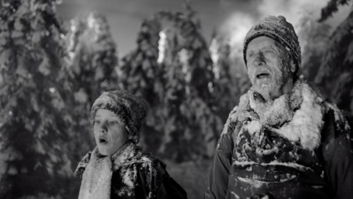 Alikaffe tellusworks