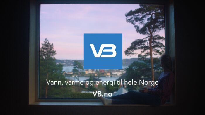 Vbrorleggerfus